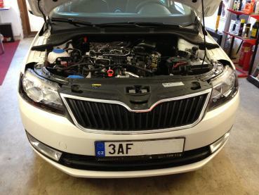 Skoda Rapid 1.6TDI Powered by Sportmotor